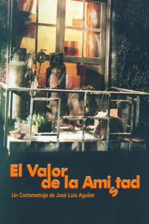 ارزش دوستی