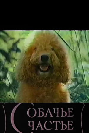 خوشبختی سگ