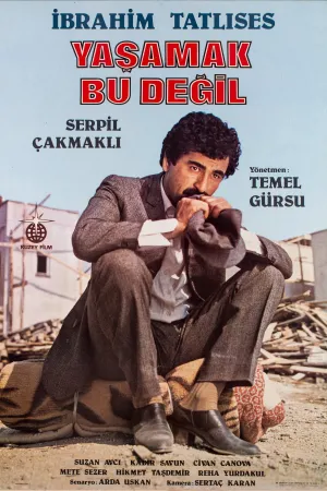 این زندگی نیست