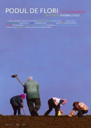 پل گل