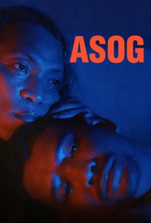 آسوگ