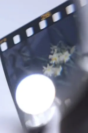نور ناقص