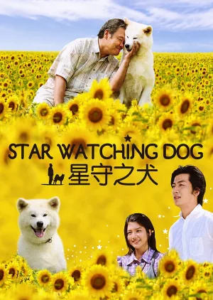 Star Watching Dog