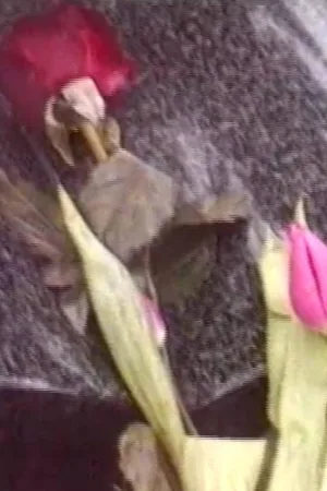 نورمالیّت یک تا ده
