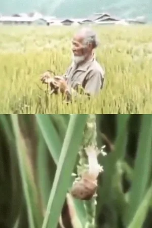 باغ نزدیک به طبیعت