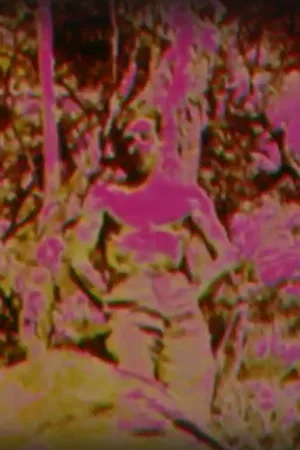 آلبوم