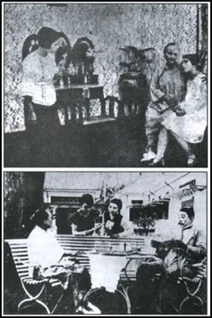 لیلی وان جاوا