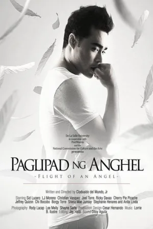 Flight of an Angel