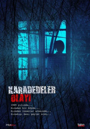 حادثه کاراددلر