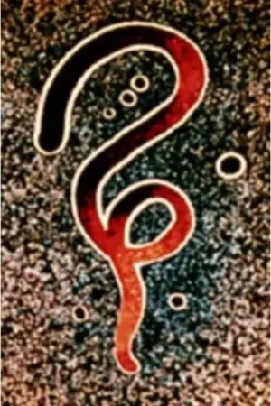 کاروان