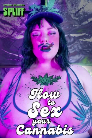 چگونه موسیقی cannabis خود را بسازیم