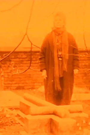 درختچه در فردا