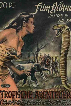 سفر خطرناک
