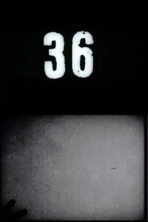 Fluxfilm No. 36