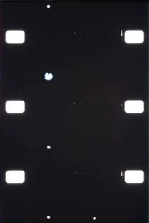 ماشین پلیس