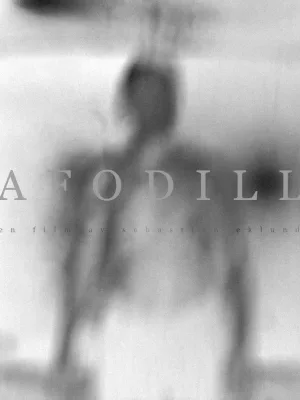 Afodill
