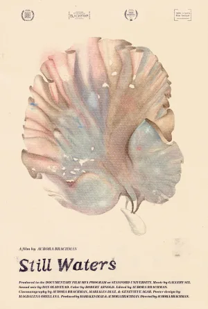 آب‌های آرام