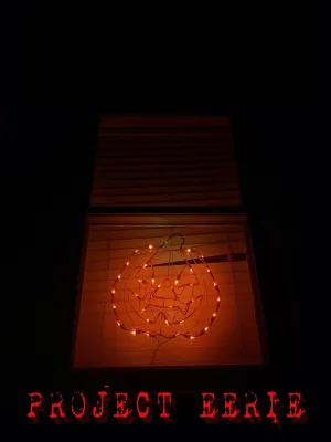 پروژه ترسناک