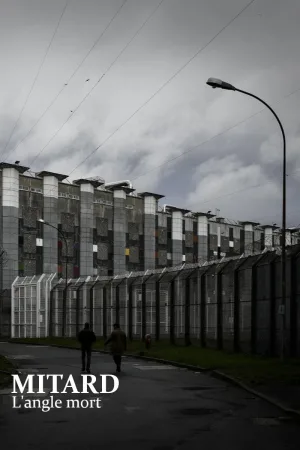 Deaths in Solitary Confinement: The Prison System's Blind Spot