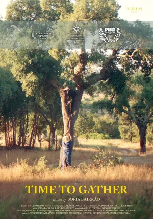 زمان گردآوری