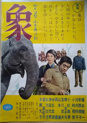 Elephant from "Zoo Story"