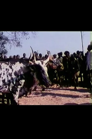 جشن گاو مقدس
