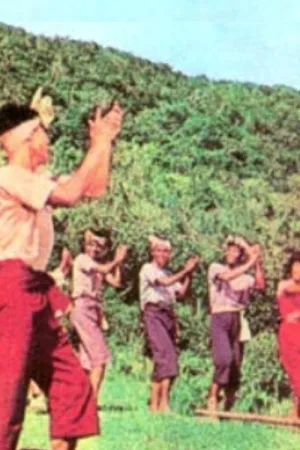 جنگل جادویی