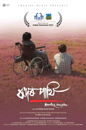 رادور پاکی