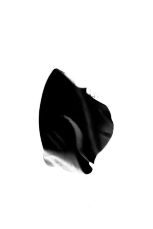پالمز