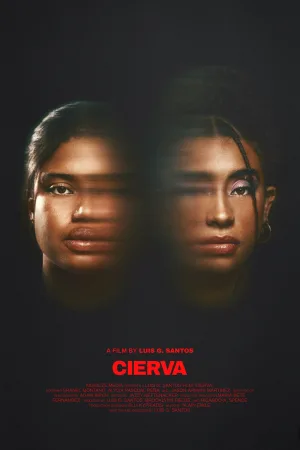 Cierva