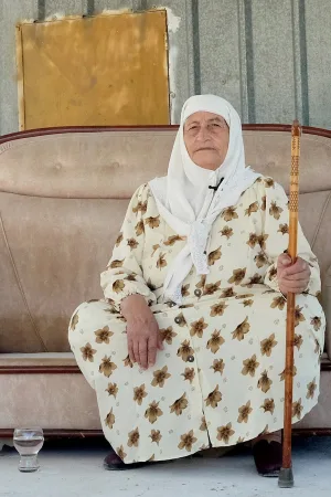 ممیمسونای۱