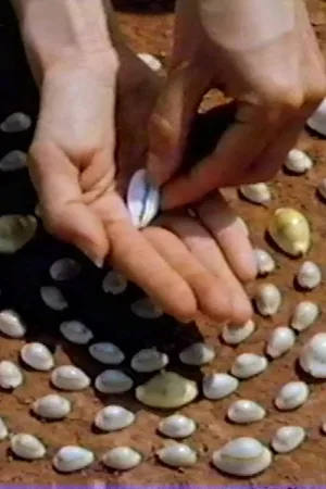 جریان شب