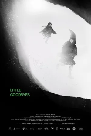 Little Goodbyes