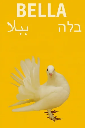 بلا