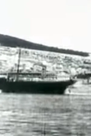 Port of Šibenik