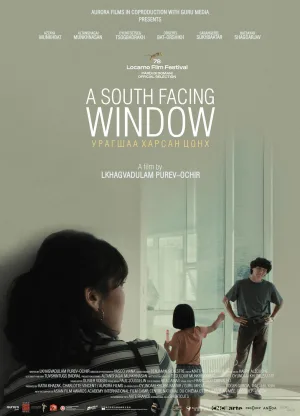 A South Facing Window
