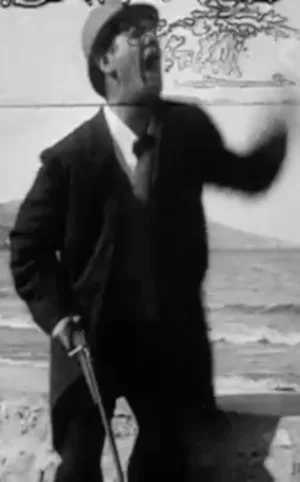 پلیکارپ می‌خواهد موفق شود