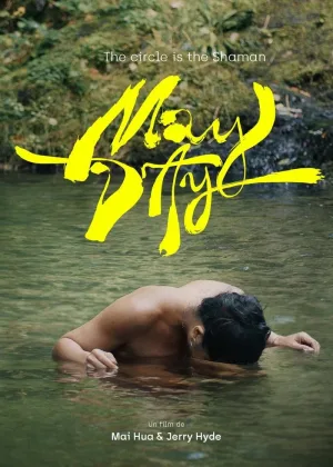 روز مایس