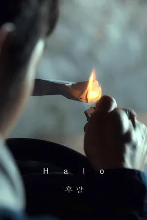 هالو