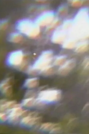نذار