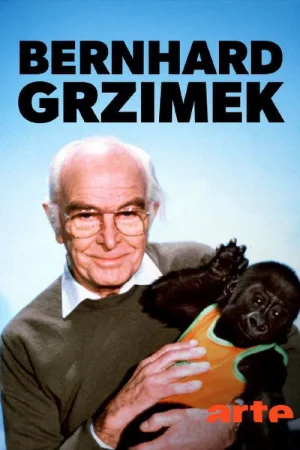 Grzimeک: نبرد برای سرونتی