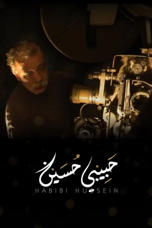 حبیبی حسین