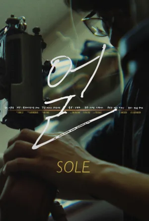 سول