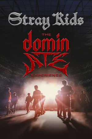 استری کیدز تجربه dominATE
