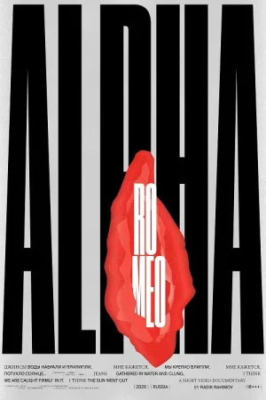 AlfaRomeo