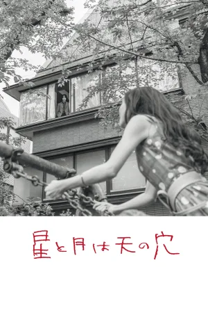 The Stars and the Moon are Holes in the Sky