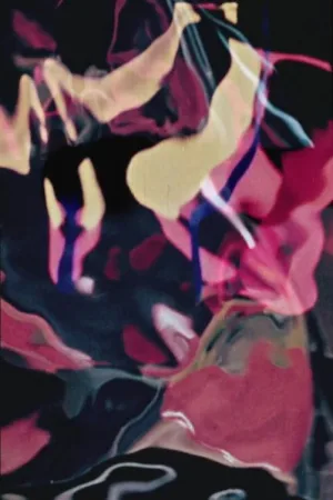 تکامل
