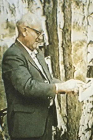 جعبهٔ سیاه