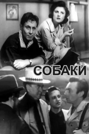 سگ‌ها