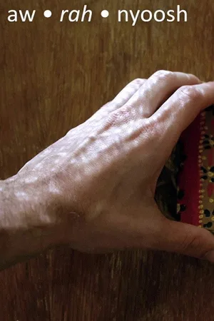 خلاصهٔ رودک زمانه دهی به خواب می‌رود